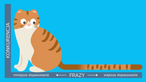 Pozycjonowanie sklepu metodą long-tail. SEO Wrocław